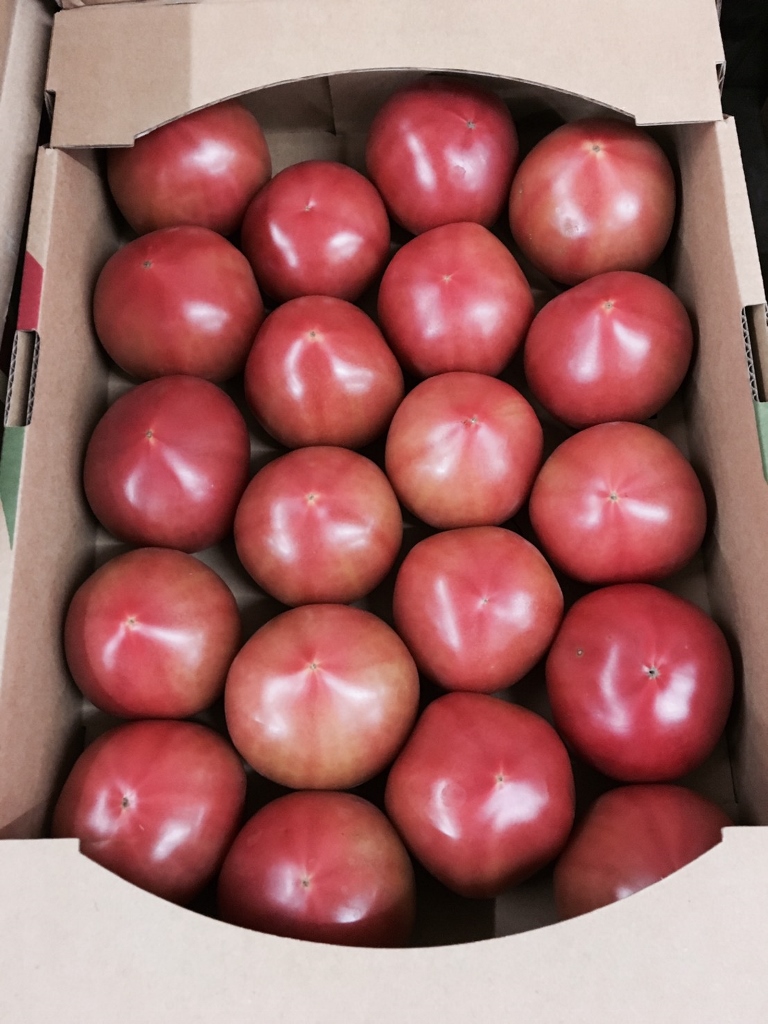 栃木県産のトマト