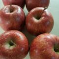 長野県産の有機リンゴ｜今週の業務用野菜 特売情報