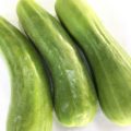 千葉県産の白瓜（しろうり）｜5月のおすすめ業務用旬野菜の仕入れ情報