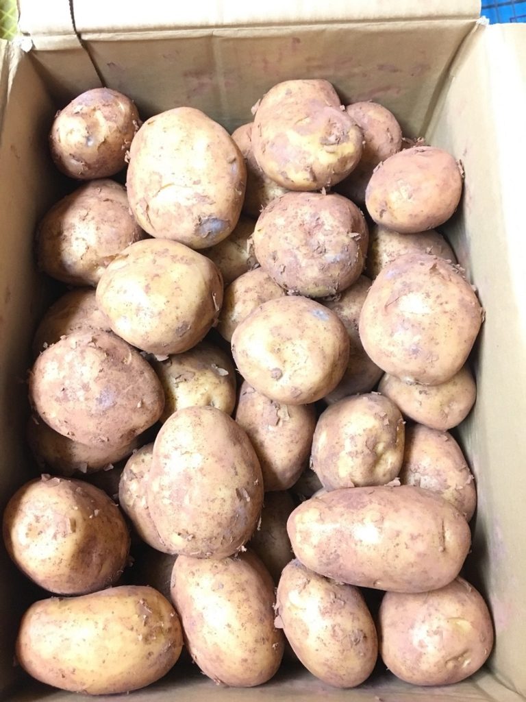 北海道産の新ジャガイモ