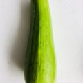 白瓜（しろうり）｜5月のおすすめ業務用旬野菜の仕入れ情報