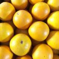 【特売情報】オーストラリア産のオレンジ｜今週土曜日のお得な業務用果物