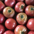 【特売情報】潰し用トマト｜今週土曜日のお得な業務用野菜
