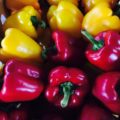 茨城県産のピーマンと韓国産のパプリカ｜今週土曜日の業務用野菜 特売情報