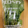 【特売情報】茨城県産のモロヘイヤと長野県産のレタス｜今週土曜日のお得な業務用野菜