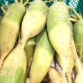 【特売情報】新潟県産のビタミン大根｜今週土曜日のお得な業務用野菜