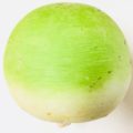 【特売情報】紅芯大根（こうしんだいこん）｜今週土曜日のお得な業務用野菜