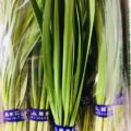 【特売情報】栃木県産のニラ｜今週土曜日のお得な業務用野菜
