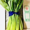 【特売情報】埼玉県産の小松菜（大束）｜今週土曜日のお得な業務用野菜