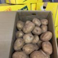 【特売情報】茨城県産のジャガイモ｜今週土曜日のお得な業務用野菜