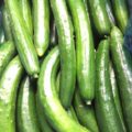 【特売情報】茨城県産のキュウリ｜今週土曜日のお得な業務用野菜