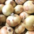 【特売情報】佐賀県産の新玉ねぎ｜今週土曜日のお得な業務用野菜