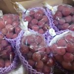 【令和7年10月度】おすすめ業務用旬野菜「クイーン・ニーナ」