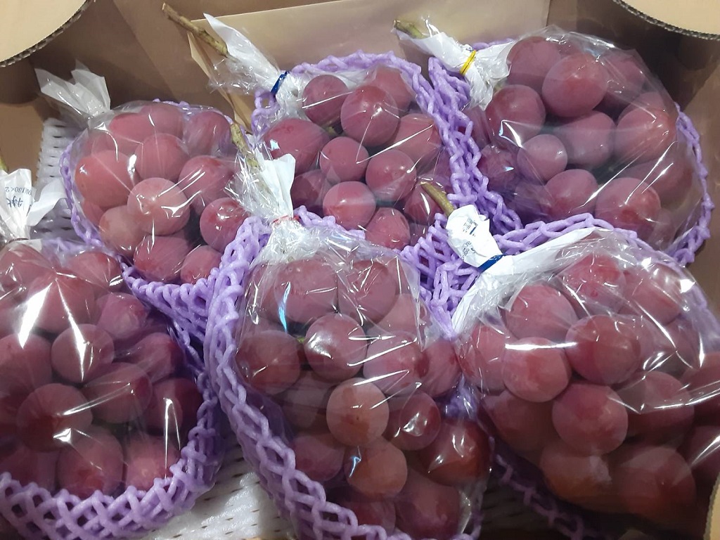 クイーン・ニーナ