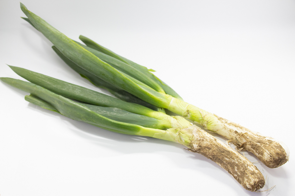 【令和7年12月度】おすすめ業務用旬野菜「下仁田ねぎ」