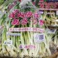 【令和8年1月度】おすすめ業務用旬野菜「庄内あさつき」